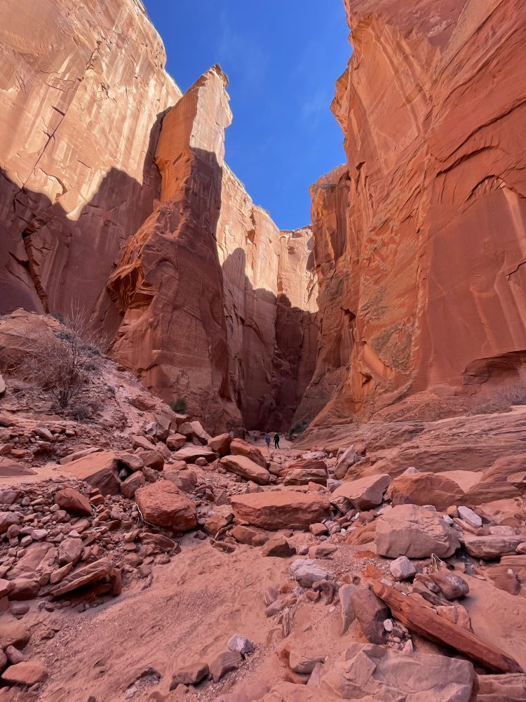 a canyon with a mountain in the background